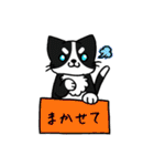 箱入りわにゃんこs（個別スタンプ：33）