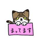 箱入りわにゃんこs（個別スタンプ：34）