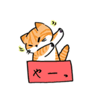 箱入りわにゃんこs（個別スタンプ：36）