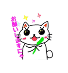 白猫のハク 2（個別スタンプ：31）