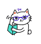 白猫のハク 2（個別スタンプ：33）