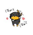 nanakuni Family（個別スタンプ：37）
