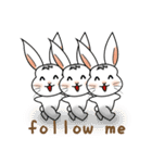 Carol's rabbits 2（個別スタンプ：12）