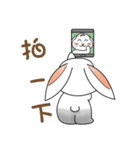Carol's rabbits 2（個別スタンプ：24）