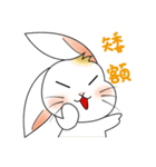 Carol's rabbits 2（個別スタンプ：31）