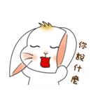 Carol's rabbits 2（個別スタンプ：37）