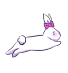 Whit Rabbit（個別スタンプ：11）