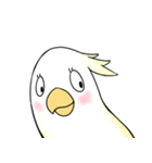 Gluttony The hungry Cockatoo EN（個別スタンプ：1）