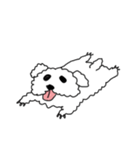 DD and the slipper（個別スタンプ：1）