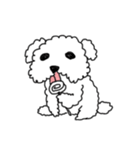 DD and the slipper（個別スタンプ：2）