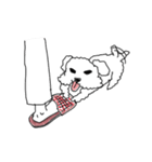 DD and the slipper（個別スタンプ：5）