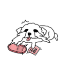 DD and the slipper（個別スタンプ：12）