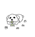 DD and the slipper（個別スタンプ：14）