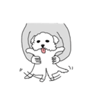 DD and the slipper（個別スタンプ：16）