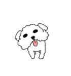DD and the slipper（個別スタンプ：18）