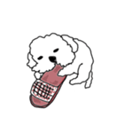 DD and the slipper（個別スタンプ：22）