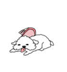 DD and the slipper（個別スタンプ：23）