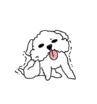 DD and the slipper（個別スタンプ：24）