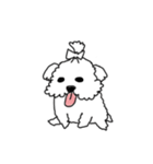 DD and the slipper（個別スタンプ：30）