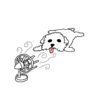 DD and the slipper（個別スタンプ：31）