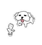 DD and the slipper（個別スタンプ：32）