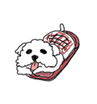 DD and the slipper（個別スタンプ：38）