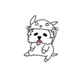 DD and the slipper（個別スタンプ：39）