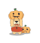 Katencandi's Halloween（個別スタンプ：12）