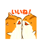 しまハムスタンプ（個別スタンプ：9）