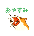 しまハムスタンプ（個別スタンプ：12）
