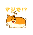 しまハムスタンプ（個別スタンプ：17）
