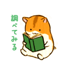 しまハムスタンプ（個別スタンプ：32）