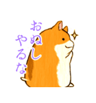 しまハムスタンプ（個別スタンプ：38）