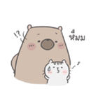 Mr. bear and his cutie cat 2（個別スタンプ：35）