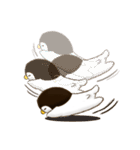 Penguin and Ice Bear（個別スタンプ：35）