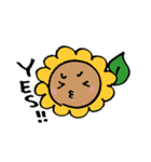 YES！ ひまわり先生！（個別スタンプ：23）