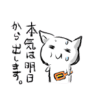 よさこいねこの日常。ぴとぅ♪ver.2（個別スタンプ：13）