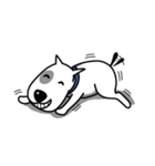 Bull Terrier Puppy（個別スタンプ：10）