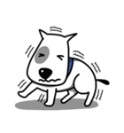 Bull Terrier Puppy（個別スタンプ：15）