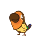 Taohoo : the Sun Conure（個別スタンプ：1）