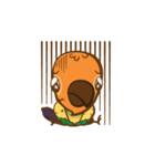 Taohoo : the Sun Conure（個別スタンプ：12）