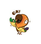 Taohoo : the Sun Conure（個別スタンプ：15）