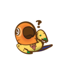 Taohoo : the Sun Conure（個別スタンプ：19）