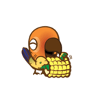 Taohoo : the Sun Conure（個別スタンプ：24）