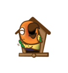 Taohoo : the Sun Conure（個別スタンプ：35）
