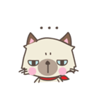 Almond the naughty cat（個別スタンプ：4）