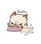 Almond the naughty cat（個別スタンプ：8）