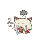 Almond the naughty cat（個別スタンプ：11）