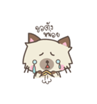 Almond the naughty cat（個別スタンプ：12）