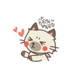 Almond the naughty cat（個別スタンプ：19）